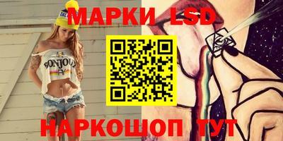 альфа пвп Новодвинск