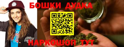 крисы Новозыбков