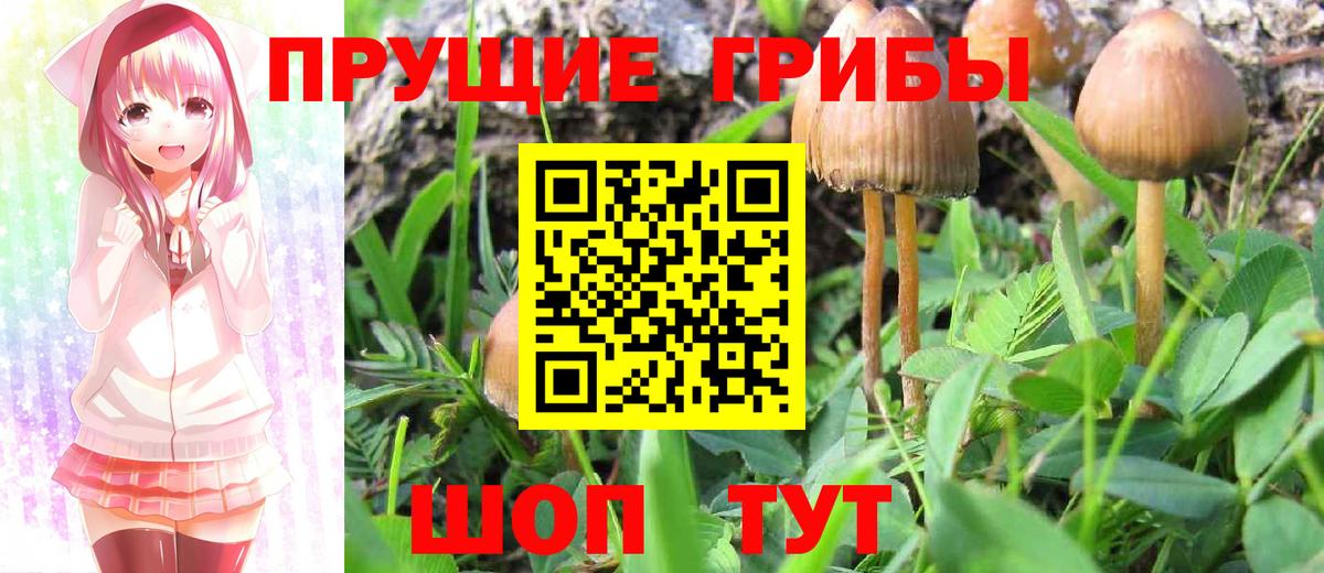 МЕФ Удомля