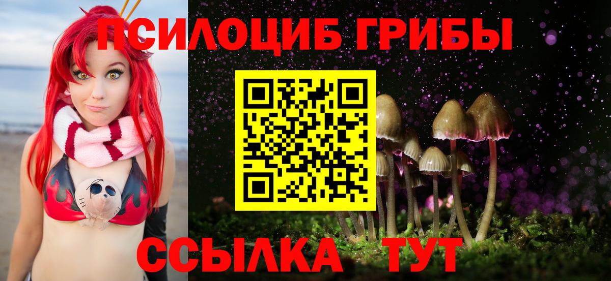 Удомля  Галлюциногенные грибы прущие грибы  Галлюциногенные грибы Cubensis  Вход с VPN 